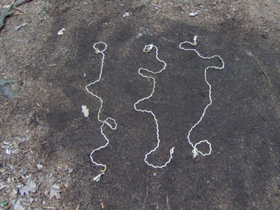 threeStandardStoppages